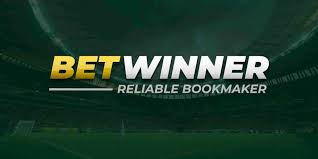 Exploring the BetWinner Gambling Platform A Comprehensive Guide 870378315