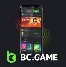 Everything You Need to Know About Depositing on BC.Game 2090773847