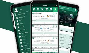 BetWinner Review An In-depth Look at Features, Bonuses and More
