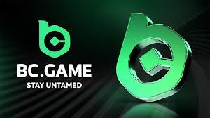 Common BCGame.vc Login Problems and How to Fix Them -771394230