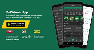 Discover the Latest Bonuses on BetWinner Unlock Amazing Offers!