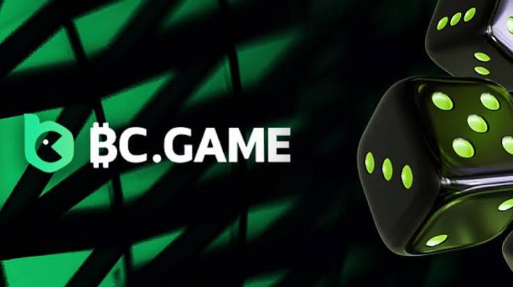 BCStavka Casino A Guide for New Players 903505724 BCStavka Casino A Guide for New Players 903505724